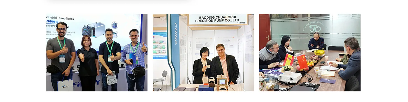 Laboratory Peristaltic Pump - Chonry
