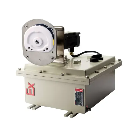 Bơm nhu động động cơ DC không chổi than phòng nổ WP100