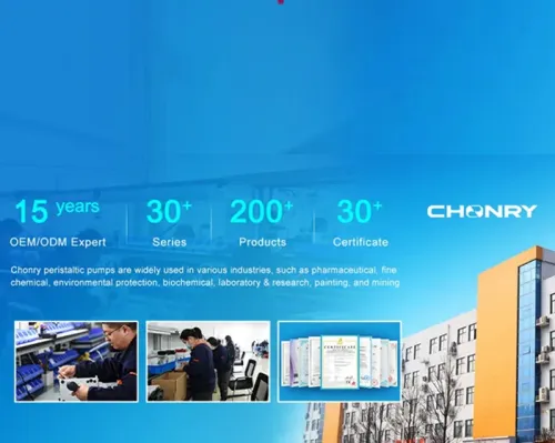 Nhà sản xuất bơm nhu động Trung Quốc: cẩm nang cho người mua